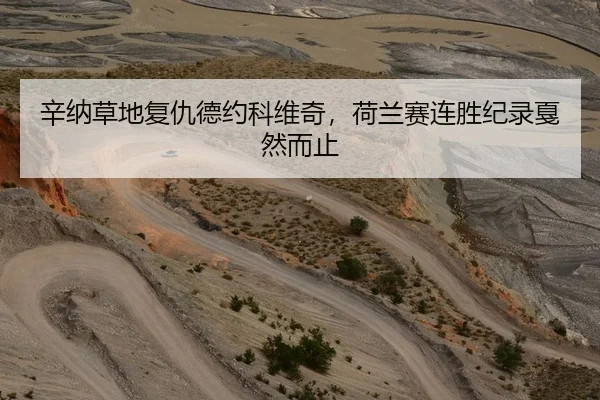 辛纳草地复仇德约科维奇，荷兰赛连胜纪录戛然而止