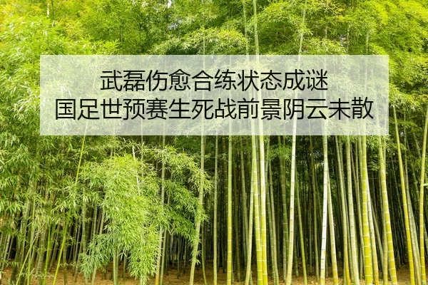 wu-lei-shang-yu-he-lian-zhuang-tai-cheng-mi-guo-zu-shi-yu-sai-sheng-si-zhan-qian-jing-yin-yun-wei-san-2-292.jpg