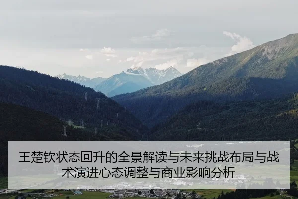 王楚钦状态回升的全景解读与未来挑战布局与战术演进心态调整与商业影响分析